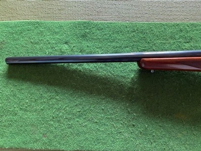 Ruger 77 V 243 Win 24” Heavy Barrel - Image 7 of 9