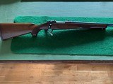 Ruger 77 V 243 Win 24” Heavy Barrel - Image 1 of 9
