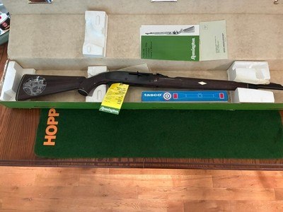 Remington Nylon 66 MB With Scope - Image 1 of 7