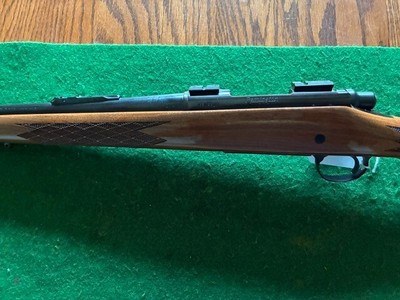 Remington 700 BDL 6 mm - Image 6 of 9