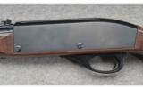 Remington Nylonn 66 in Mohawk Brown with Box - 4 of 8