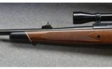 Winchester 70, .338 Win Mag with Redfield Scope - 6 of 8
