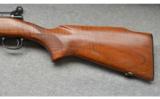 Winchester Model 70 - 1951 - 7 of 7