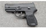Sig-Sauer P250 - 2 of 2
