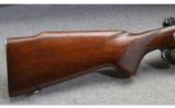 Winchester Model 70 Featherweight Pre-64 - 5 of 7
