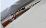 Winchester Model 70 Classic Sporter, .264 Win Mag, with 3-9X Bausch and Lomb - 1 of 7
