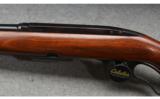 Winchester Model 88 Carbine - .243 Win - 4 of 7