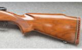 Winchester Model 70 FWT - 7 of 7