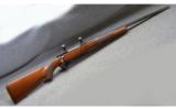 Ruger M77 .25-06 - 1 of 7