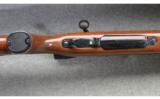Remington 700 BDL Varmint Special - 3 of 7