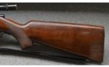 Winchester Model 75 Sporting - 7 of 8