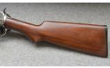 Winchester Model 1906 - 8 of 9