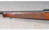 Winchester Model 70 Featherweight - 6 of 9