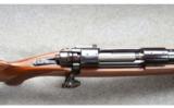Ruger M77 - 9 of 9