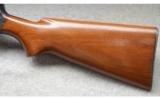 Remington Model 81 - 7 of 8