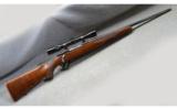 Ruger M77 - 1 of 9