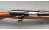 Winchester Model 43 - .22 Hornet - 4 of 9