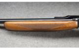 Browning Auto-22 - 7 of 9