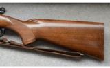 Winchester Model 70 ~ .30-06 ~ YOM 1950 - 8 of 9