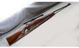 Winchester Model 70 - .270 Win - YOM 1951 - 1 of 9