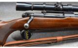 Winchester Model 70 - .270 Win - YOM 1951 - 2 of 9