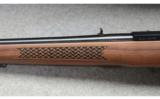 Ruger 10/22 International, Wood and Blue - 8 of 9