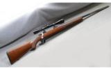 Ruger M77MkII ~ .300 Win Mag - 1 of 9
