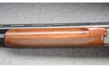 Winchester Pigeon Grade Lightweight - 9 of 9