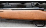 Winchester Model 70
~ .22-250 - 5 of 9
