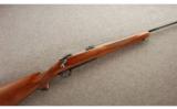 Ruger M77 .243 Win. - 1st Year Production - 1 of 9