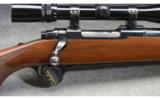 Ruger M77 ~ cal .243 Win - 2 of 9