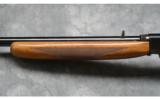 Browning Auto-22 - 8 of 9