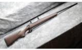 Remington Model 700 AWR ~ .30-06 - 1 of 9