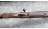 Remington Model 700 AWR ~ .30-06 - 4 of 9