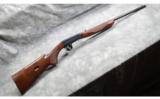 Browning Auto-22 - 1 of 9