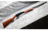 Remington Model 572 Routledge ~ .22 cal shotgun - 1 of 9