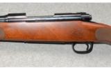 Winchester Model 70 SA - 4 of 9