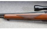 Ruger M77 ~ cal 7X57 Mauser - 8 of 9