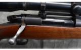 Winchester Model 70
- .270 Win - 3 of 9