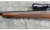 Winchester Model 70
- .270 Win - 8 of 9