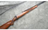 Ruger ~ M77 ~ .25-06 - 1 of 9