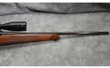 Sauer ~ Model 202 ~ .22-250 Remington - 4 of 9