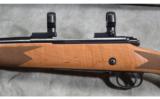 Winchester ~ Model 70 Super Grade ~ .30-06 Spg. - 8 of 9