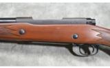 Winchester ~ Model 70 ~ .375 H&H Magnum - 8 of 9