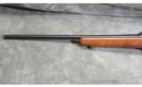 Remington ~ Model 788 ~ 6mm Remington - 8 of 9