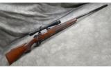 Winchester ~ Model 70 XTR ~ .243 Win - 1 of 9