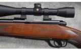 Winchester ~ Model 70 XTR ~ .243 Win - 8 of 9