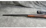 Winchester ~ Model 70 XTR ~ .243 Win - 7 of 9