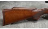 Winchester ~ Model 70 XTR ~ .243 Win - 2 of 9