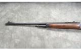 Winchester ~ Model 71 ~ .348 Win - 9 of 9